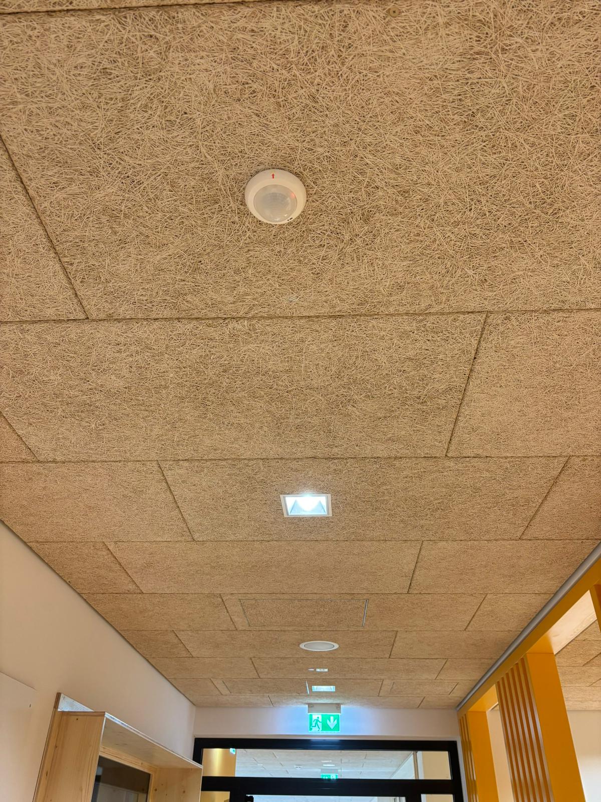 Karl‑Treutel‑Schule – Kelsterbach Bild 13